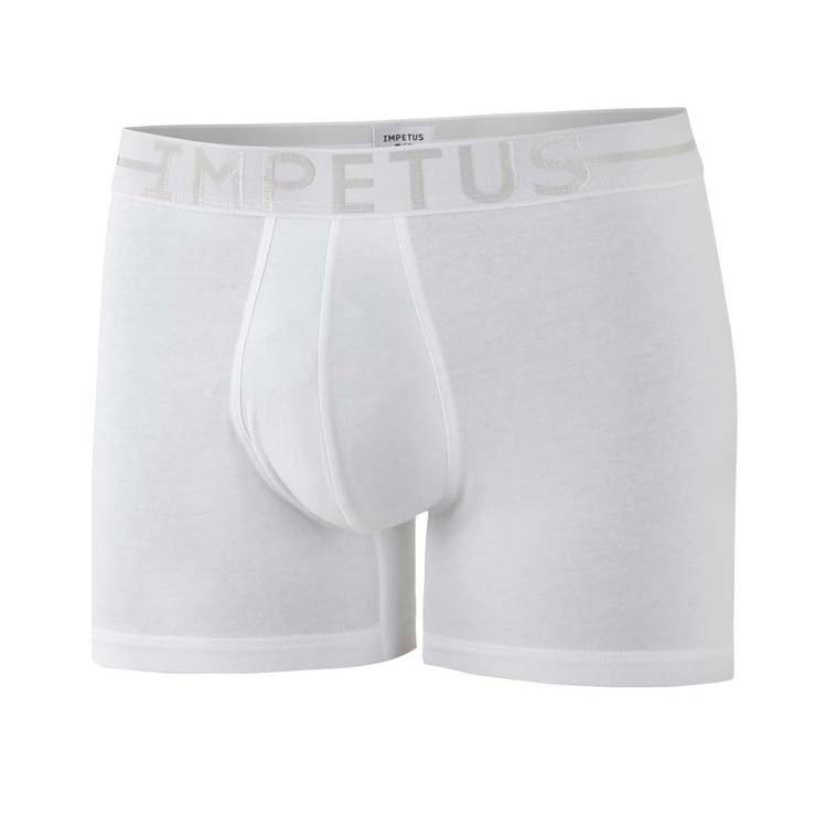 Boxer Brief Impetus 1258021