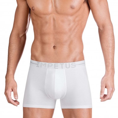 Boxer Brief Impetus 1258021