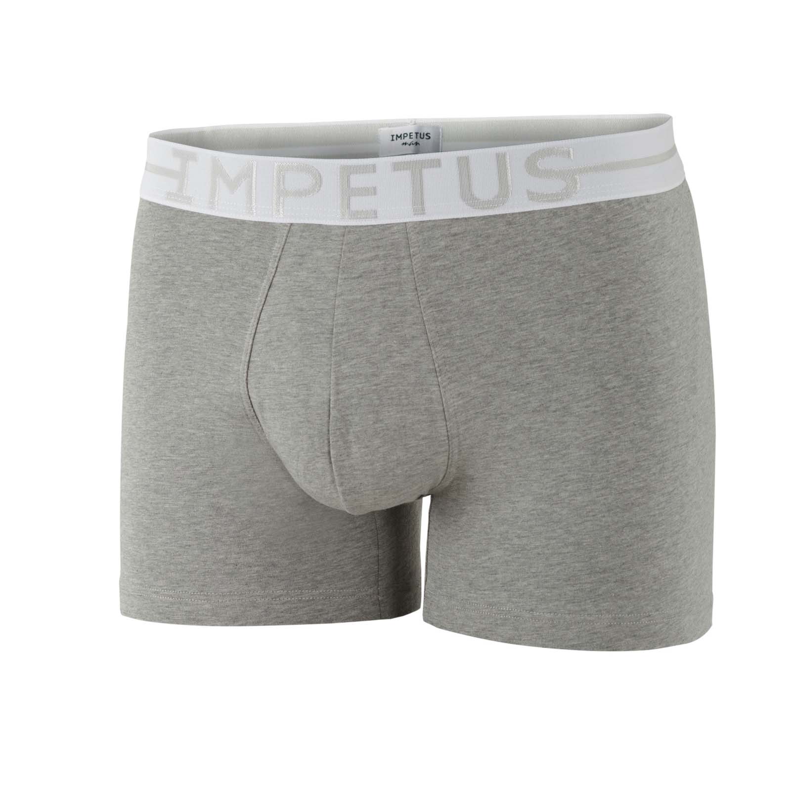 Boxer Brief Impetus 1258021