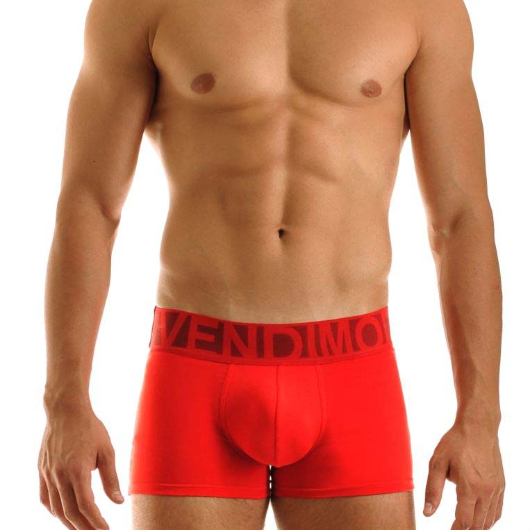 Boxer Brief Modus Vivendi 02421